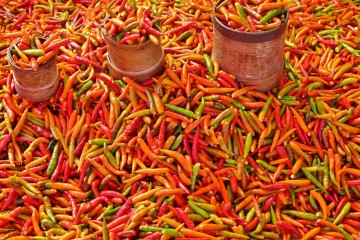 les piments du marché de Saint-Paul à la Réunion