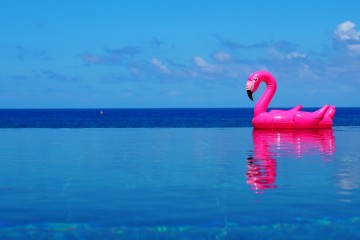 Tropical home, spécialsite des locations de vacances à la Réunion