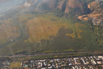 Vilel de Saint-Paul à la Réunion