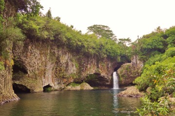 Le bassin la Mer à la Réunion