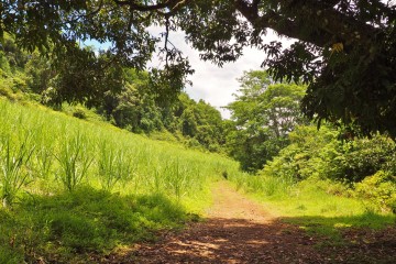 Accès au bassin la mer