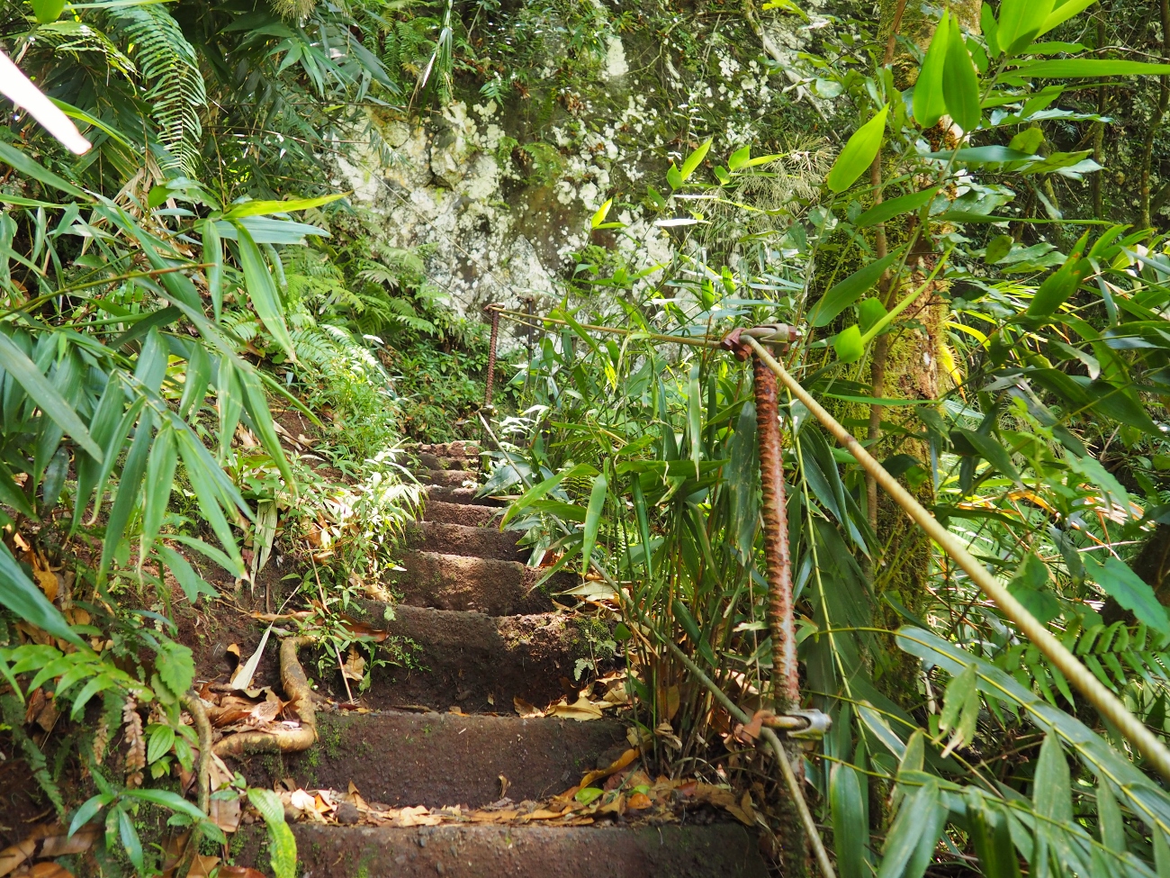 escaliers en pierre d'accès au bassin la paix
