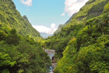 La Rivière du Mât à Salazie