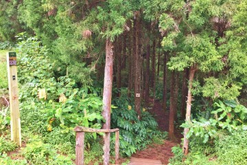 le sentier pour accéder à la cascade Maniquet