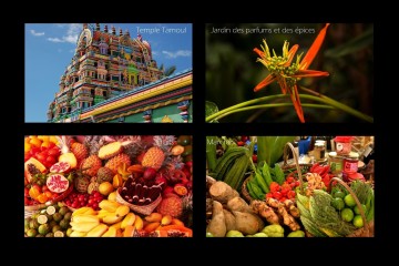 La cuisine et la culture de la Réunion