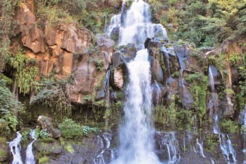 L'un des plus beaux bassins de Saint Gilles