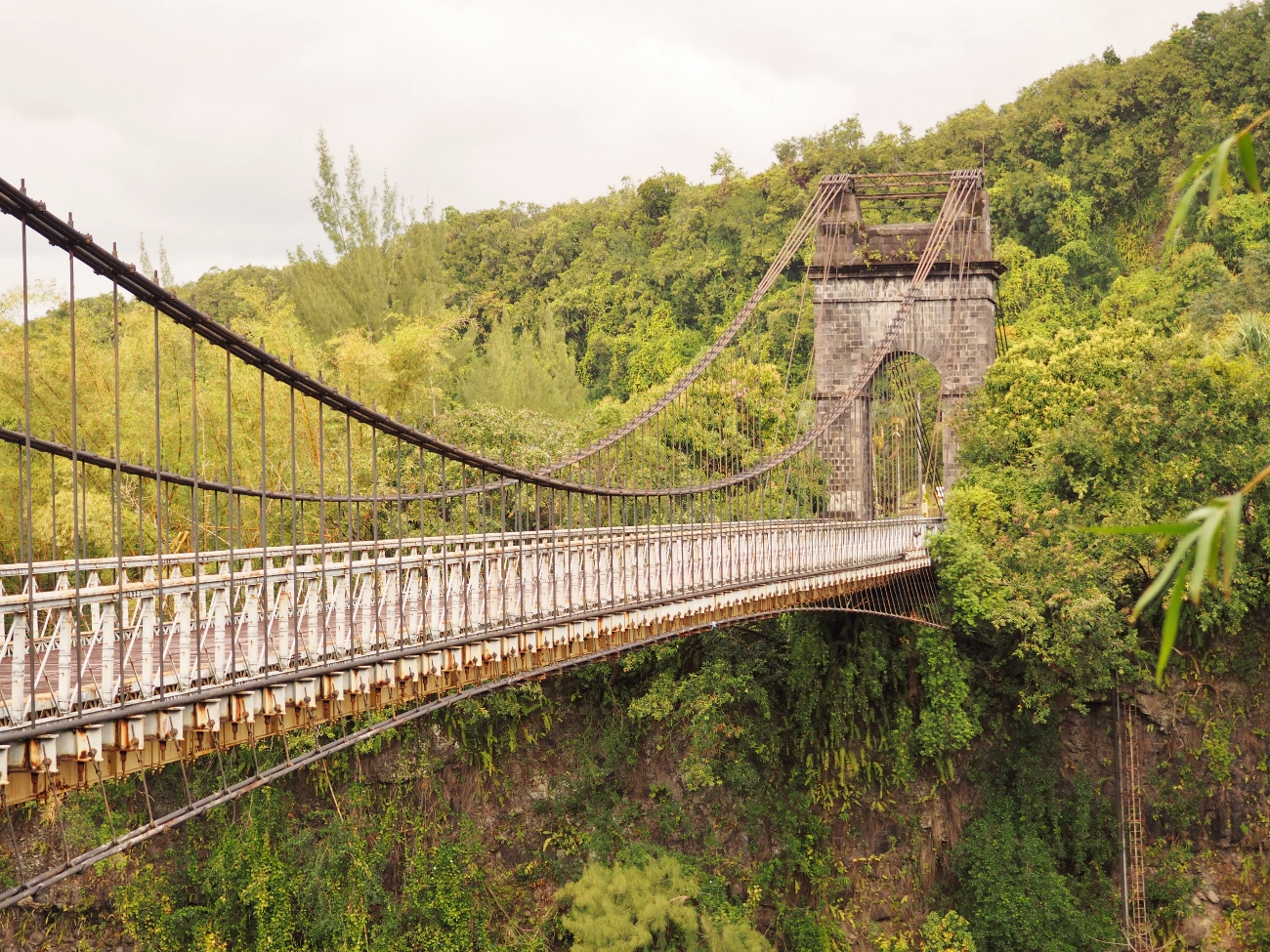 le pont suspendu de la rivière de l'Est à la Réunion