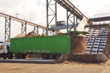 cachalot déchargeant la canne à sucre