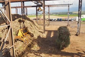 La canne à sucre dans l'usine de Bois Rouge