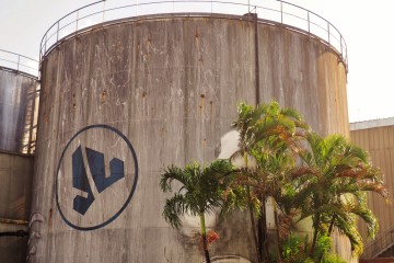 La distillerie Savanna à la Réunion