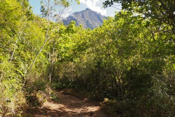 Le sentier menant à la roche merveilleuse