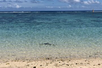 Lagon la reunion