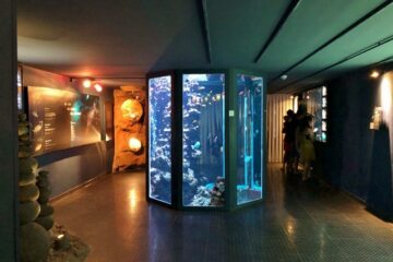 Les enfants vont adorer l'aquarium de la réunion