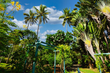 Jardin d'Eden