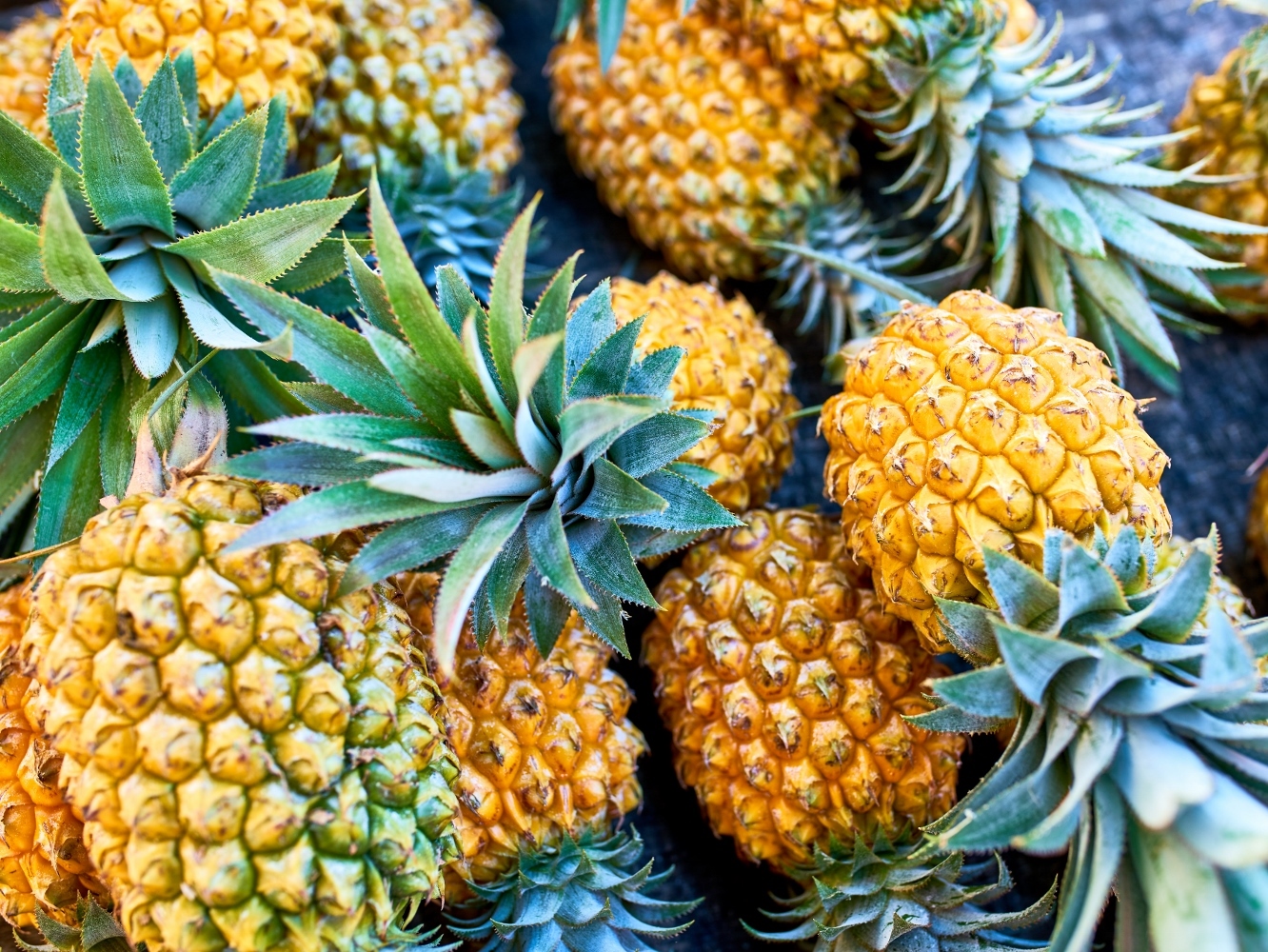 Ananas Victoria Réunion