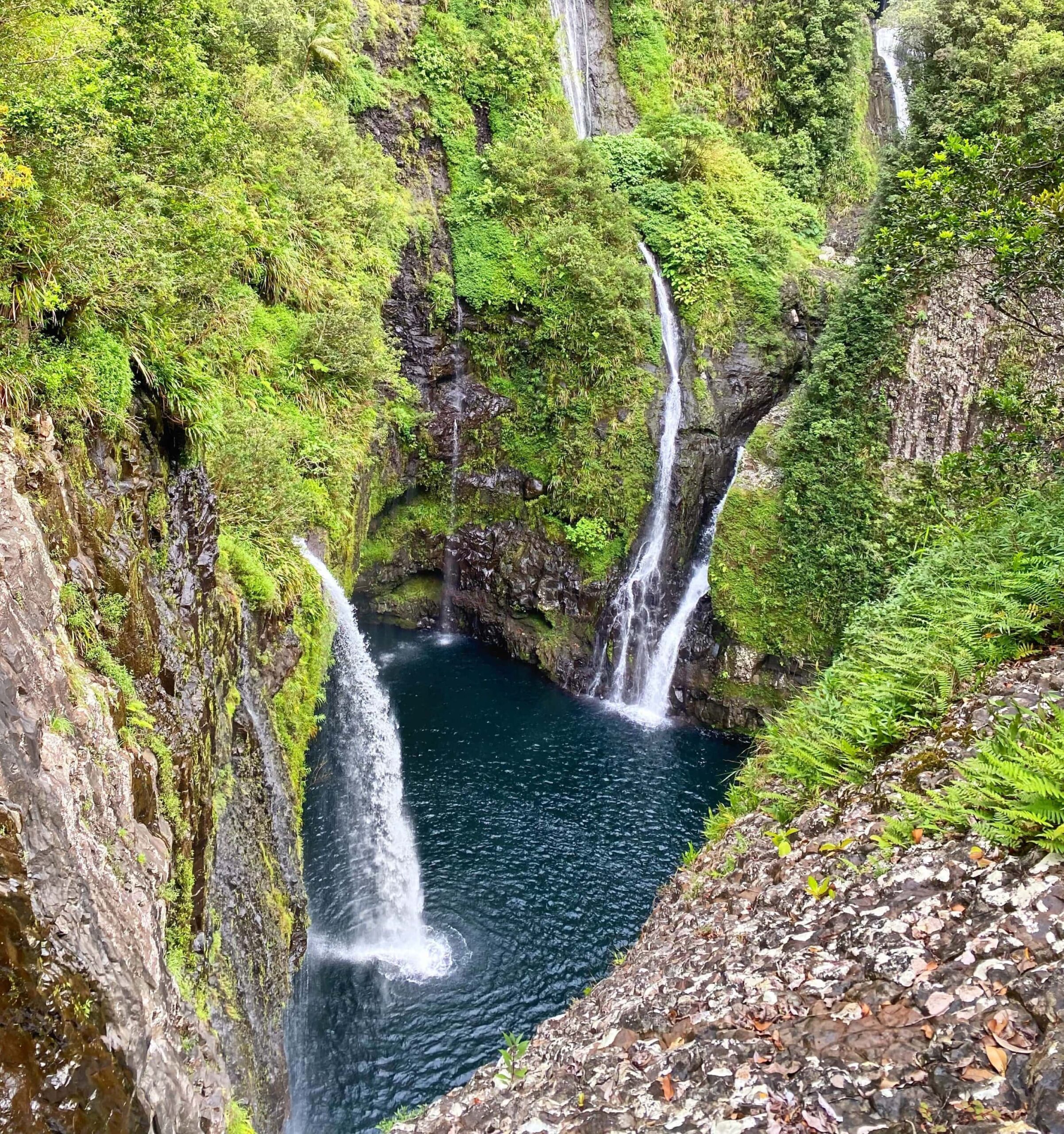 Une journée dans l est tropical avec la vallée de takamaka