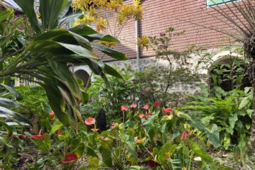 domaine des mascarins