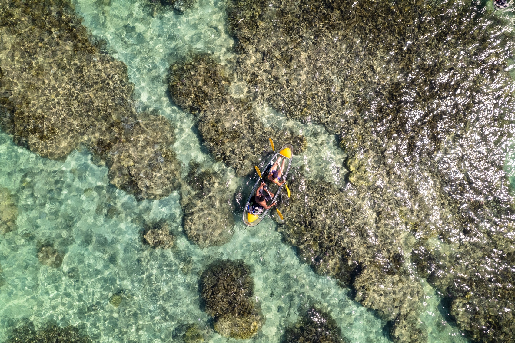kayak transparent : une activité à faire avec les endants
